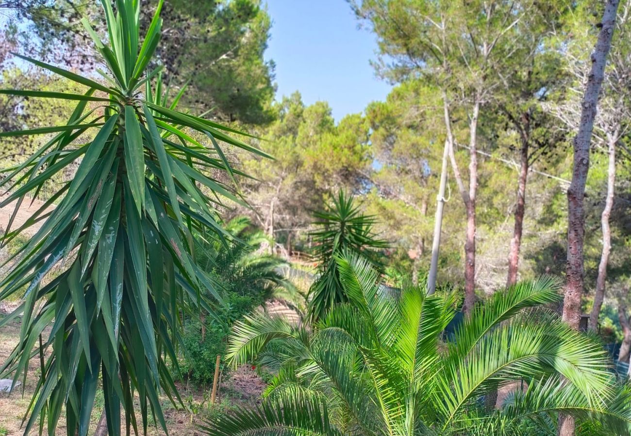 Cabin in Sperlonga - Wild Wild Nest Sperlongaresort