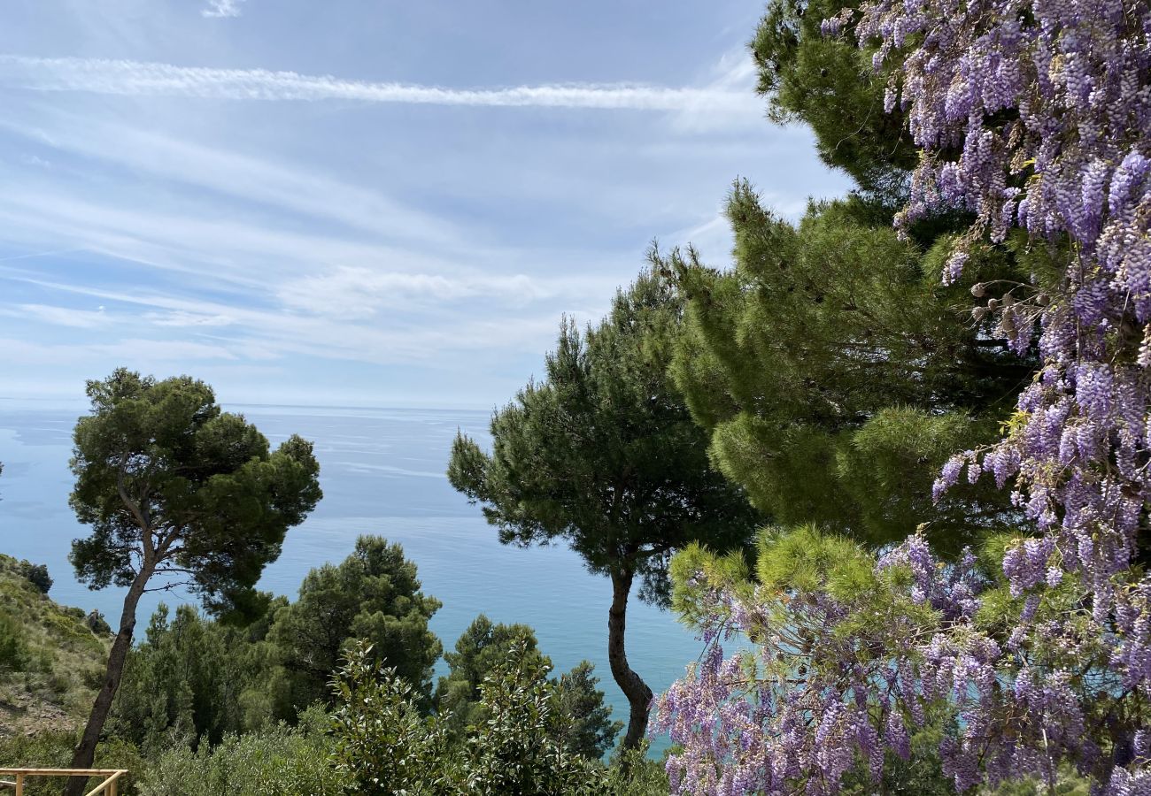 Villa in Sperlonga - Villa Il giardino di Ulisse  Sperlongaresort